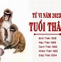 Tuổi Mậu Thân Năm 2023 Tốt Hay Xấu Không Được